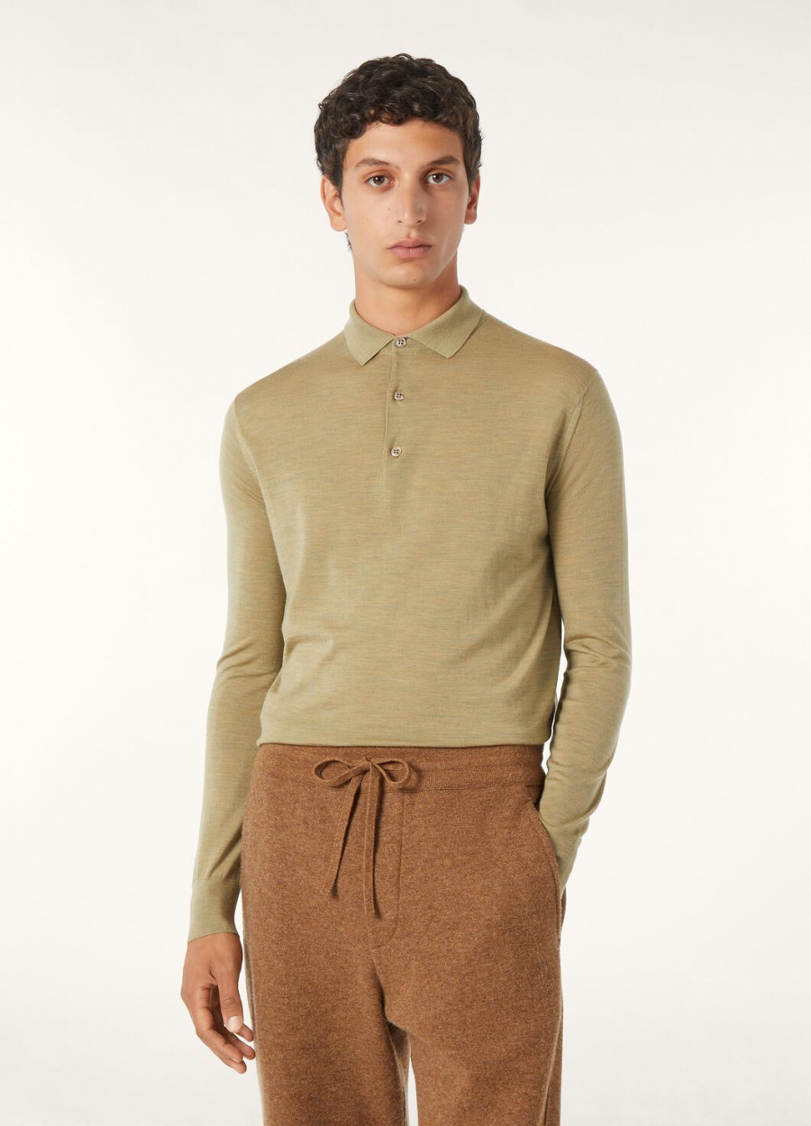 polo wish wollige gedroogde artemisia